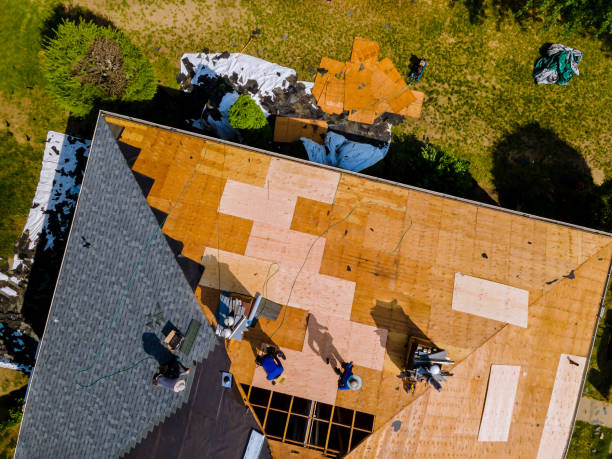 Best Roof Gutter Cleaning  in Village Shires, PA